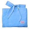 Baby Blue Stripe ipad Tech Bag