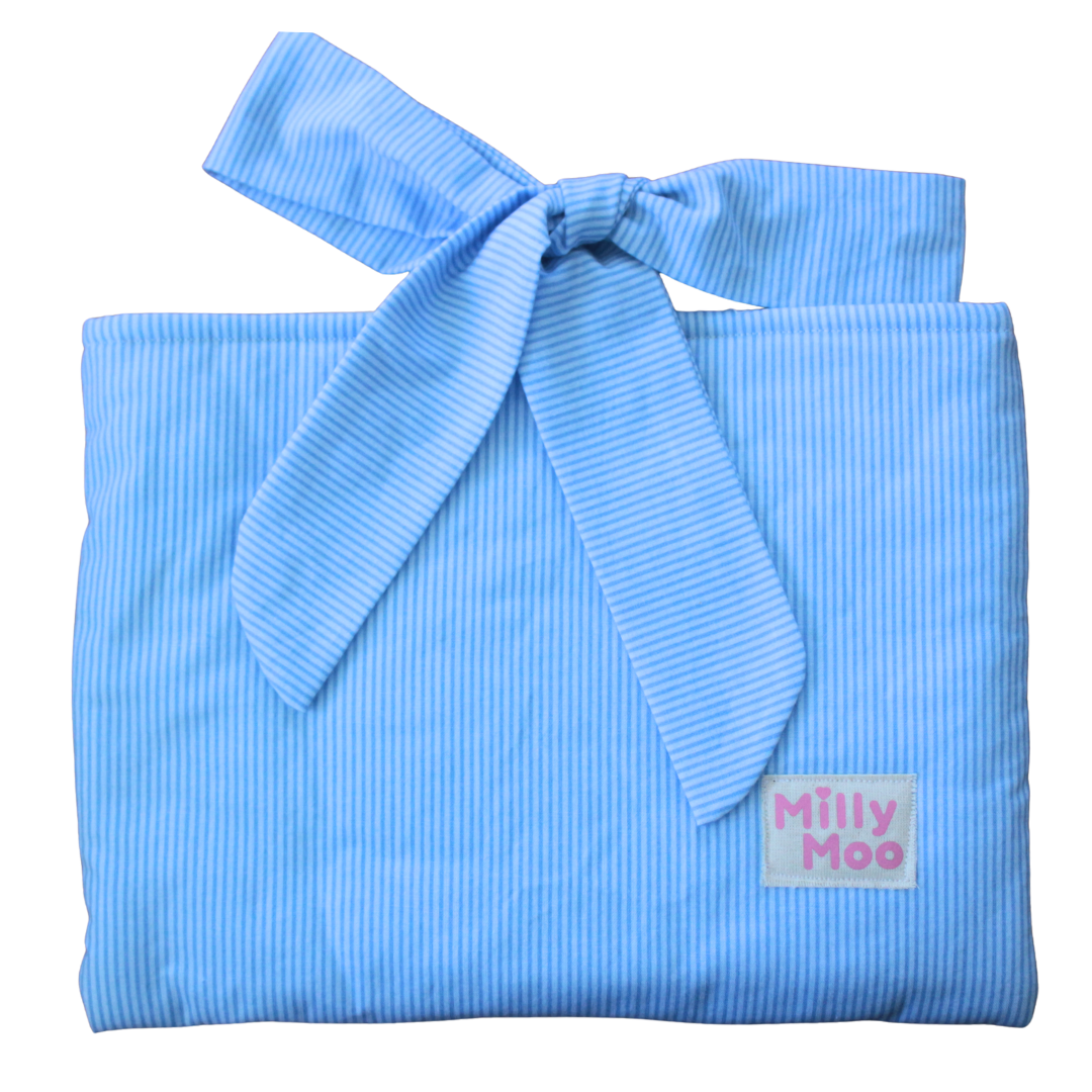 Baby Blue Stripe ipad Tech Bag