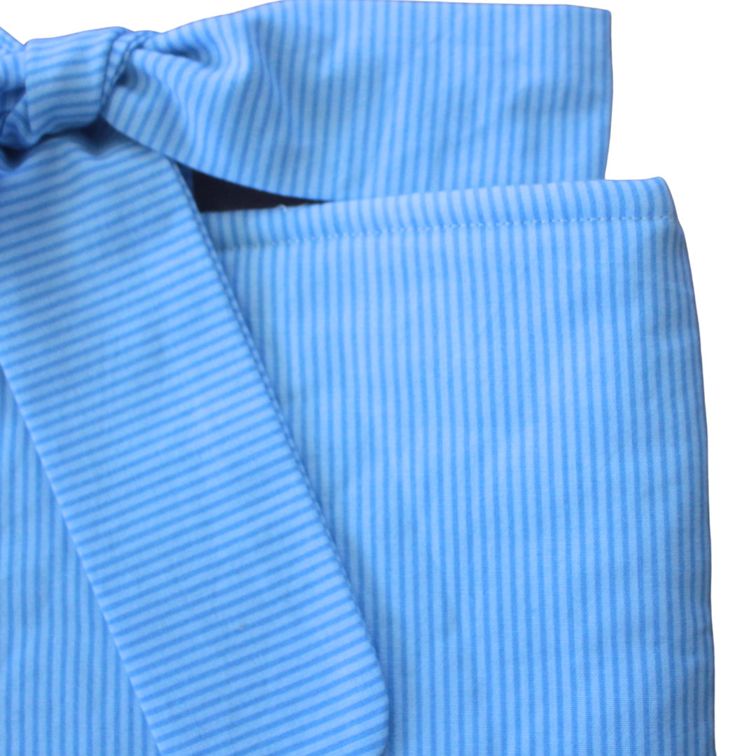 Baby Blue Stripe ipad Tech Bag