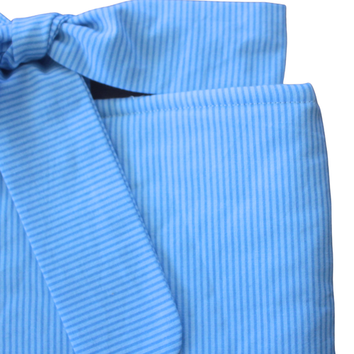 Baby Blue Stripe ipad Tech Bag